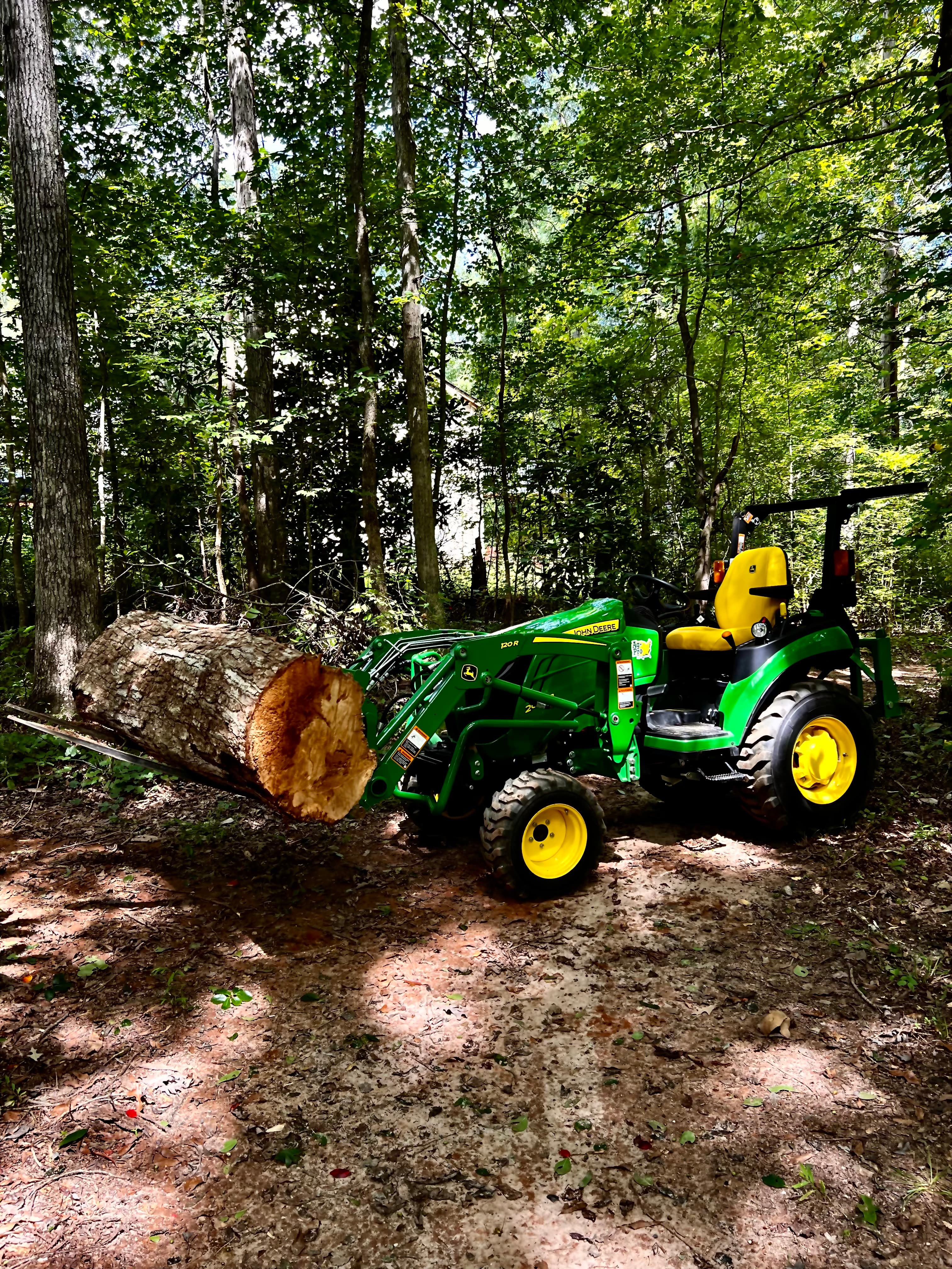 Tree & Storm Cleanup