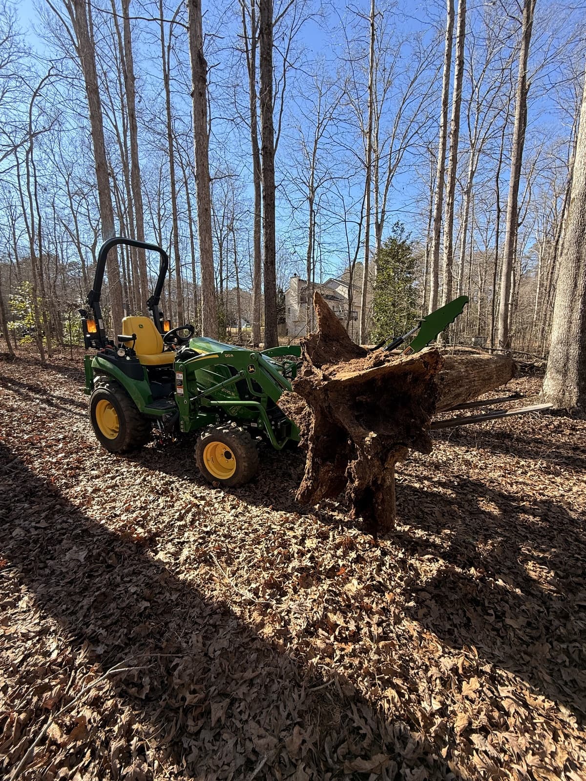 Clearing & Demolition