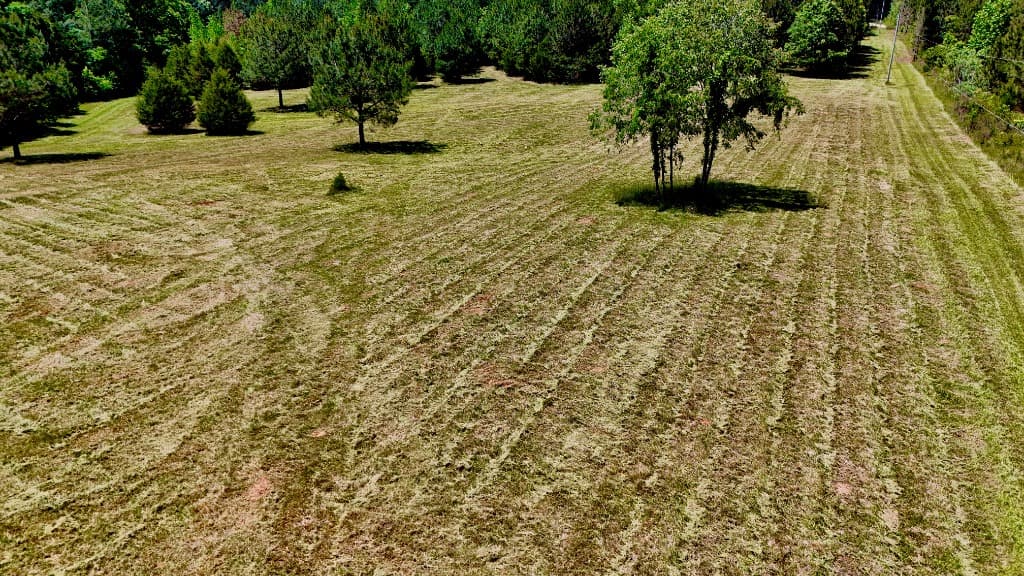 Bushhogging Fields & Pastures